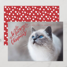 Meowy Christmas Red Handレタリング猫フルフォト シーズンカード