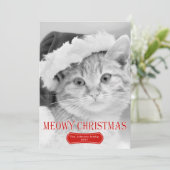 Meowy Christmas red kitten petクリスマスフォト シーズンカード (スタンド正面)