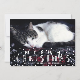 Meowy Christmas Snow Frame Cat Holiday写真 シーズンカード