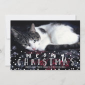 Meowy Christmas Snow Frame Cat Holiday写真 シーズンカード (正面)