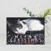 Meowy Christmas Snow Frame Cat Holiday写真 シーズンカード (スタンド正面)