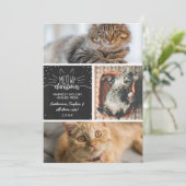 Meowy Christmas - Three Cats Photo Collage 案内状 (スタンド正面)