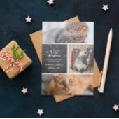 Meowy Christmas - Three Cats Photo Collage 案内状