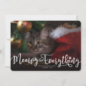 Meowy Everythingスクリプトエレガントの猫の写おもしろい真 シーズンカード (正面)