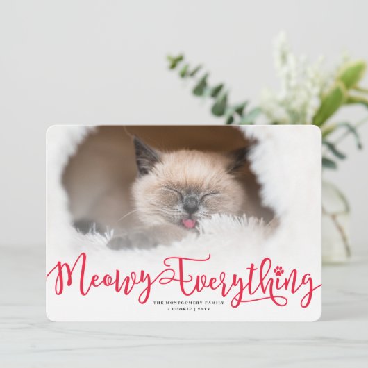 Meowy Everythingスクリプトエレガントの猫の写おもしろい真 シーズンカード (スタンド正面)