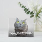 Meowy Everything Whiskers猫好きかわいいフォトペット シーズンポストカード (スタンド正面)