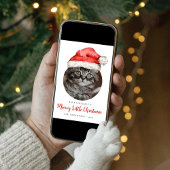 Meowy Little Christmas Santa Hat Cat写真 シーズンカード