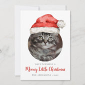Meowy Little Christmas Santa Hat Cat写真 シーズンカード (正面)