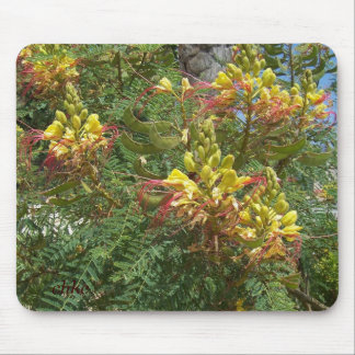 Merak マウスパッド