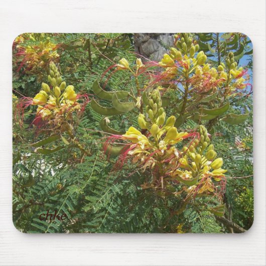 Merak マウスパッド (正面)