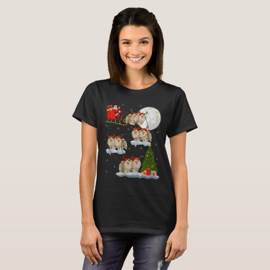 Meranian Dog Santa Sleigh Flying Funny Magical Chr Tシャツ (正面フル)