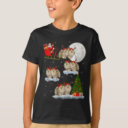 Meranian Dog Santa Sleigh Flying Funny Magical Chr Tシャツ (正面)