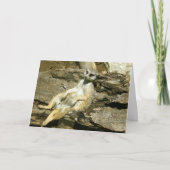 Mercatの挨拶状 カード (正面)