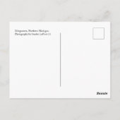 Merganserとchicks、北ミシガンのはがき ポストカード (裏面)