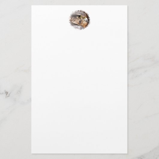 MERLIN FALCON BIRD OF PREY 便箋 (正面)