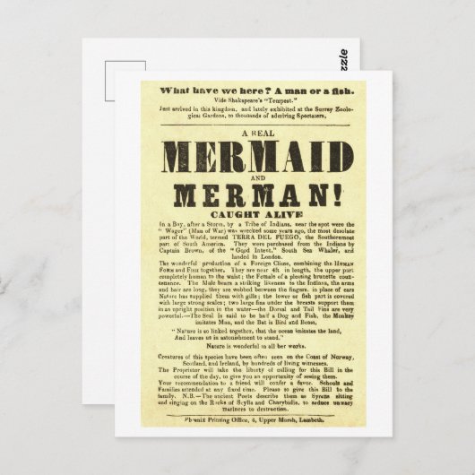 Mermaidヴィンテージショーのポスターの奇妙 ポストカード (正面/裏面)