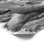 Mermaid and Dolphin ポスター (角)