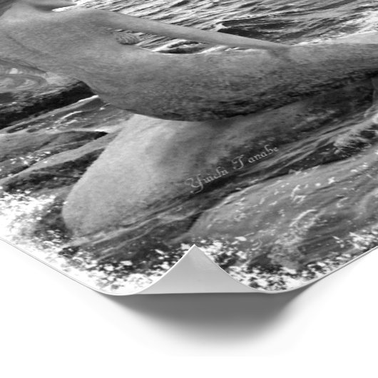 Mermaid and Dolphin ポスター (角)