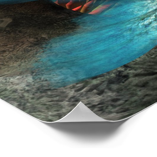 Mermaid and Dolphin ポスター (角)