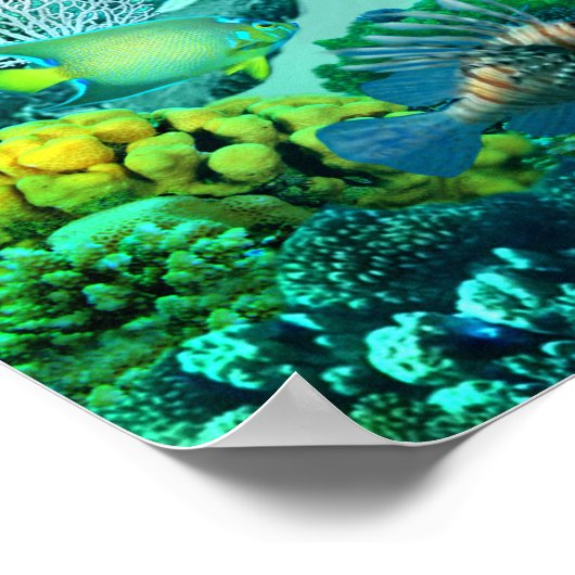 Mermaid's Coral Reef Treasure ポスター (角)