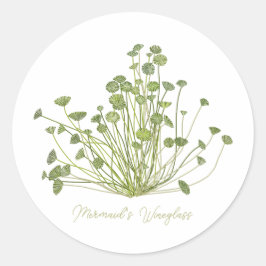 Mermaids Wineglass & Acetabularia Sea-Inspired  ラウンドシール