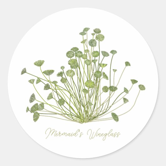 Mermaids Wineglass & Acetabularia Sea-Inspired  ラウンドシール (正面)