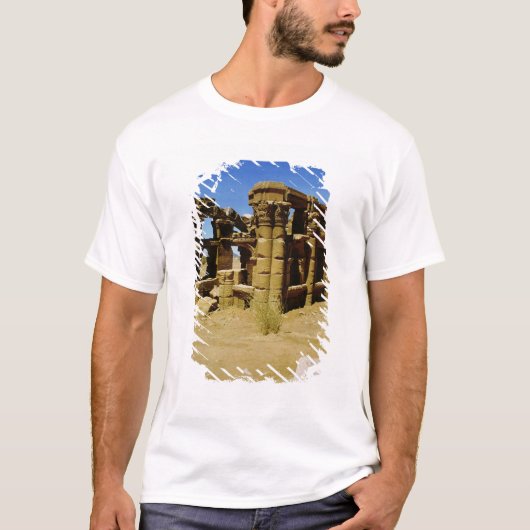 Meroiticのキオスク Tシャツ (正面)