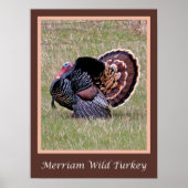Merriam Wild Turkey Poster ポスター (正面)