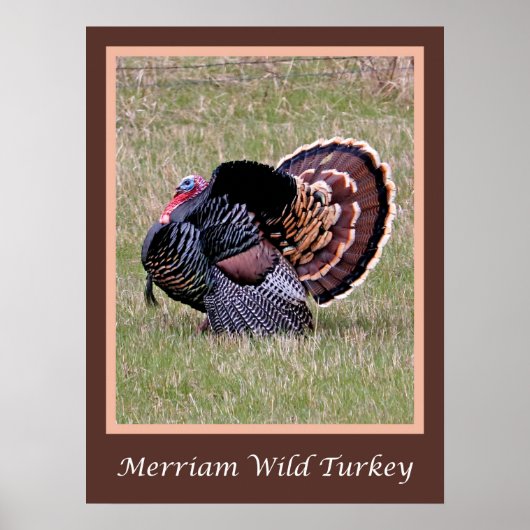 Merriam Wild Turkey Poster ポスター (正面)