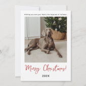 Merry and Bright Christmas Photo Card 招待状 (裏面)