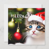 Merry Catmas Purrfect Christmas Card シーズンカード (正面)