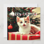 Merry Catmas Purrfect Christmas Card シーズンカード (正面)