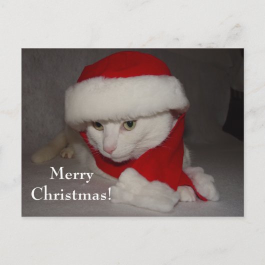Merry Christmas! シーズンポストカード (正面)