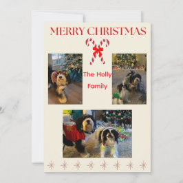 Merry Christmas Candy Cane and Twinkle Card シーズンカード