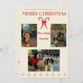 Merry Christmas Candy Cane and Twinkle Card シーズンカード (正面/裏面)