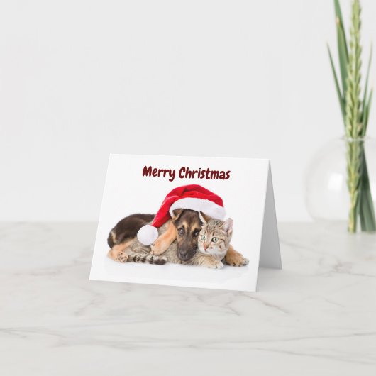 Merry Christmas Cat and Dog holiday card シーズンカード (正面)