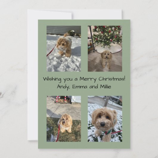 Merry Christmas Christmas Tree Card 招待状 (裏面)