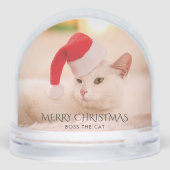 Merry Christmas Family Photo and Pet Cat (裏面)