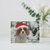 Merry Christmas from Charly シーズンポストカード (スタンド正面)