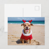 Merry Christmas from Florida Beach シーズンポストカード (正面/裏面)