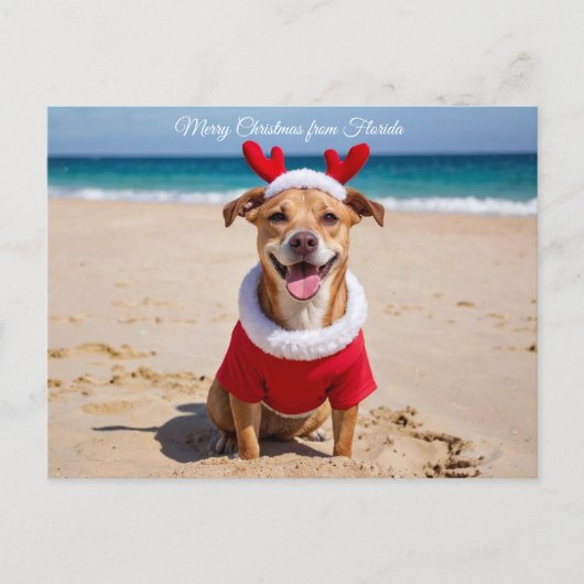 Merry Christmas from Florida Beach シーズンポストカード (正面)
