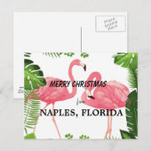Merry Christmas from Naples, Florida ポストカード (正面/裏面)