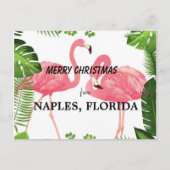 Merry Christmas from Naples, Florida ポストカード (正面)