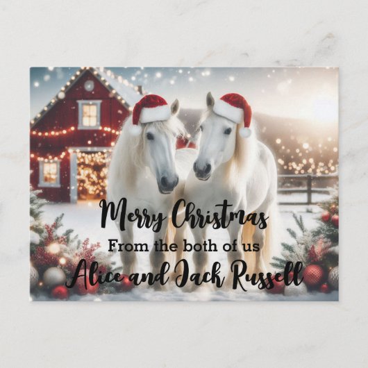 Merry Christmas from the both of us white horses ポストカード (正面)