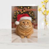 Merry Christmas – Ginger Cat by the Tree カード (黄色い花)