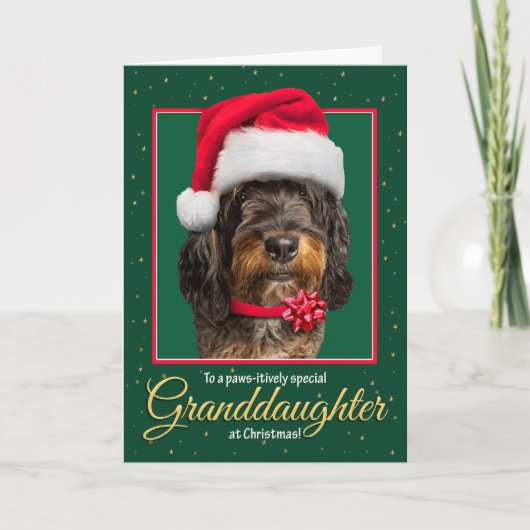 Merry Christmas Granddaughter Bernedoodle Dog  シーズンカード (正面)
