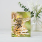 Merry Christmas Moth on Flower ポストカード (スタンド正面)