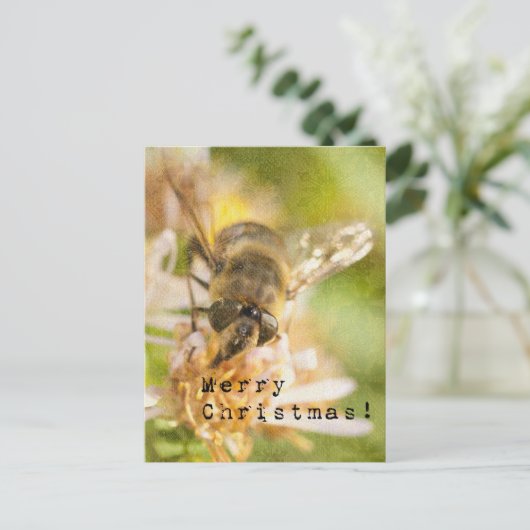 Merry Christmas Moth on Flower ポストカード (スタンド正面)