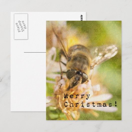 Merry Christmas Moth on Flower ポストカード (正面/裏面)