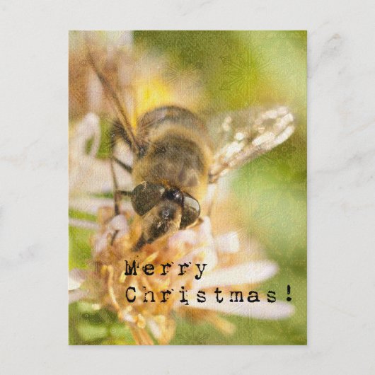 Merry Christmas Moth on Flower ポストカード (正面)